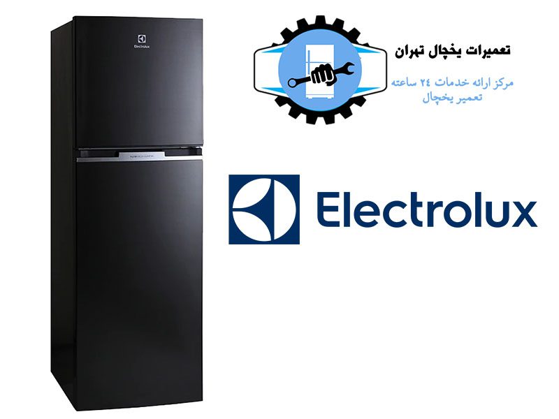 نمایندگی تعمیر یخچال الکترولوکس تهران3